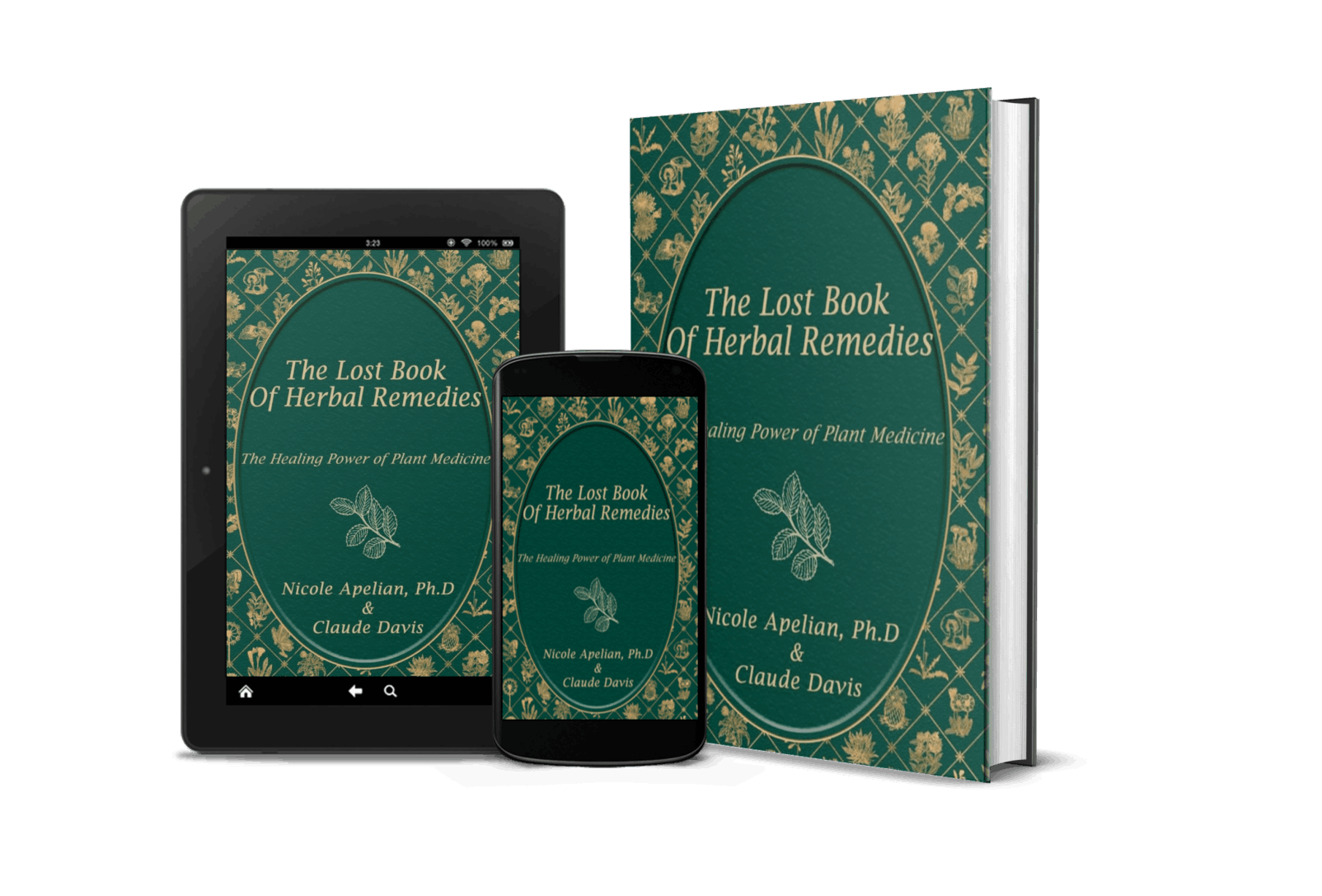The Lost Book of Remedies